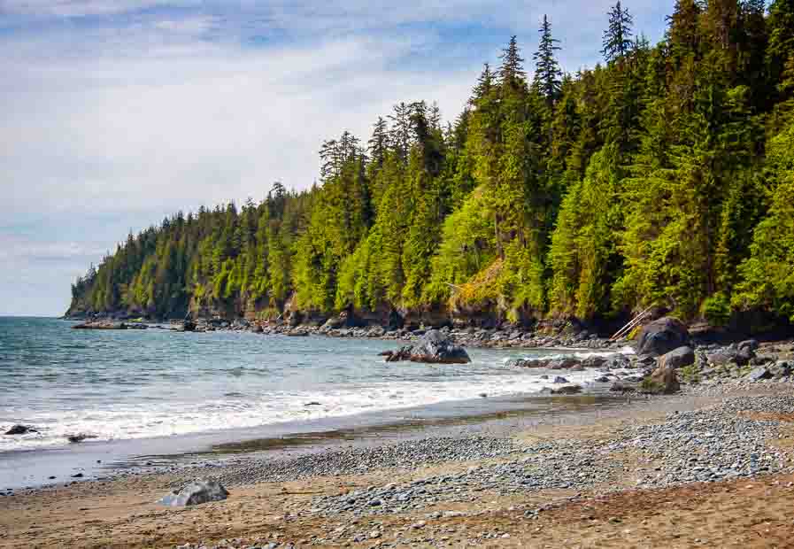 Forested Pacific coastline meeting a pebble beach