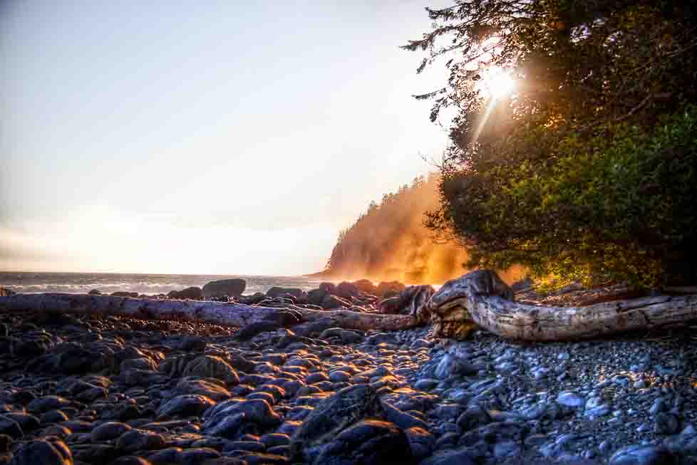 Driftwood scattered on a beach at sunset