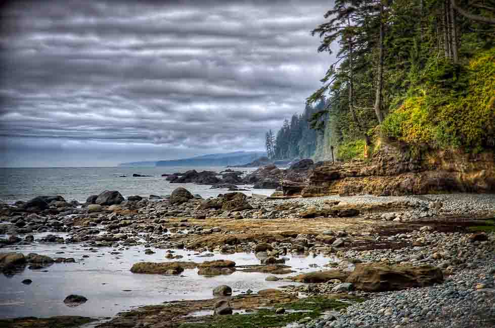 Rocky, forested coastline under a bright sky