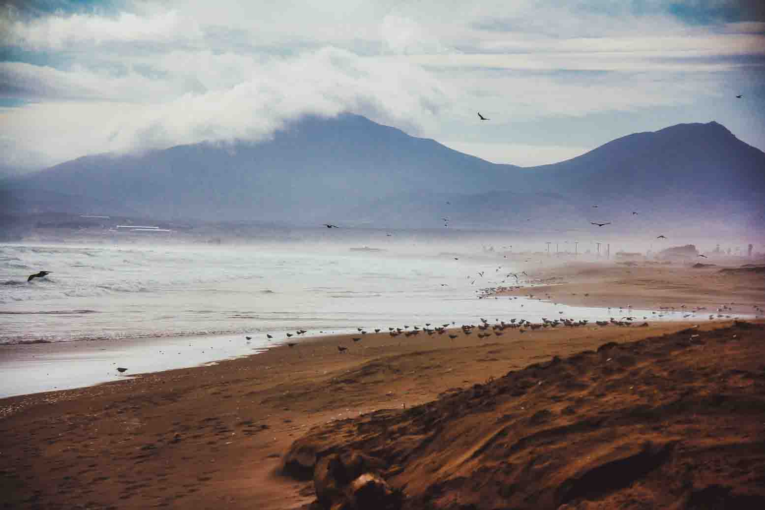 An empty beach with distant mountains and wheeling seabirds